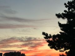 -悦海公园