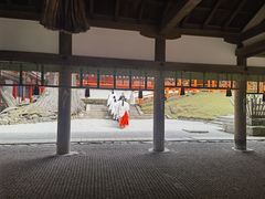 -奈良公园