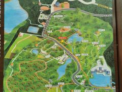 -大屏嶂森林公园
