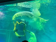 -上海海昌海洋公园-冰山北极馆