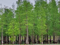 -白鹭湾湿地公园