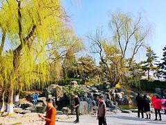 -西安青龙寺遗址景区