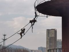 -昆明动物园