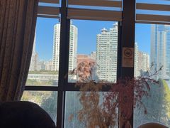 -新南华大酒店(长寿店)
