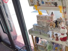 -爱妮康宠物医院·干细胞免疫细胞·肿瘤·心脏(张江店)