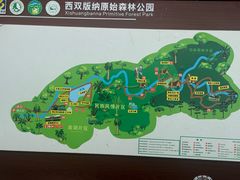 -西双版纳原始森林公园