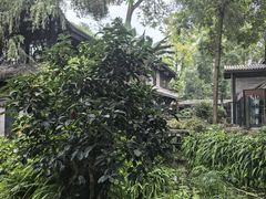 -大妙火锅·非物质文化遗产(东湖公园店)