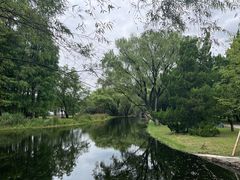 -上海共青森林公园