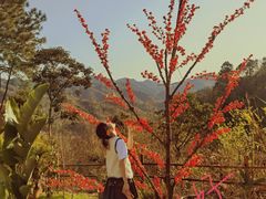 -清泉湾生态旅游度假区