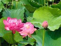 -苏州河梦清园环保主题公园