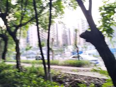 -大渡口区义渡公园