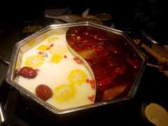 -新草堂锅物料理(泉城路店)