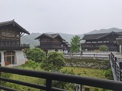 -大唐贡茶院