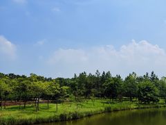 -江苏三台山国家森林公园