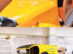 -济州岛泰迪熊博物馆