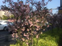 -赵记粽子(司前街店)