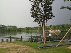 -上海长兴岛郊野公园