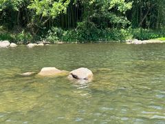 -九鲤溪瀑景区