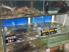 水产区-北港方记海鲜楼·海景餐厅
