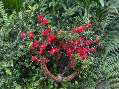 -怀托摩萤火虫洞