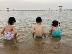 -碧海金沙