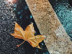 -河南省黄河迎宾馆