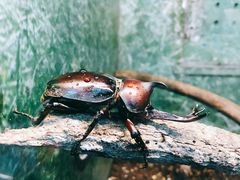 -上海昆虫博物馆