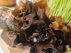 -番食园鲜食火锅(高新店)