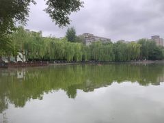 -莲湖公园