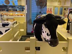 -红星前进面包牛奶公司(君太店)