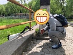 -哈尔滨北方森林动物园