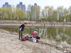 -东坝千亩湖公园