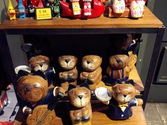 -猫咪博物馆(顶澳仔猫街店)