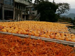 -楠溪江风景名胜区