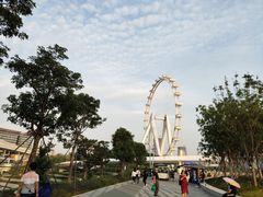 -宝安西湾红树林湿地公园