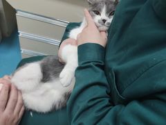 -仁华宠物医院(青羊店)