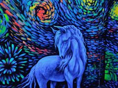 -深圳独角兽星空艺术馆