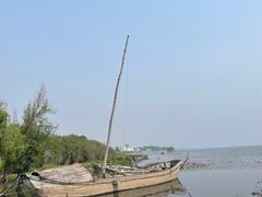 -洱海月湿地公园