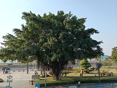 -石炮台公园