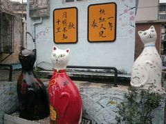 -猫咪博物馆(顶澳仔猫街店)