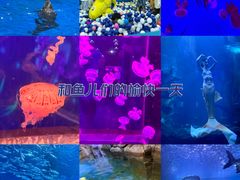 -多彩贵州城极地海洋世界