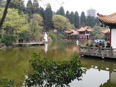 -富乐山
