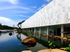 -罗红摄影艺术馆