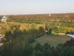 -上海长兴岛郊野公园