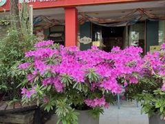-椒小兔·仔姜鲜椒兔(金沙时代广场店)