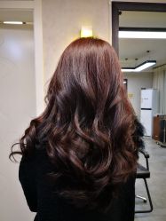 -BOF HAIR BY HONTO