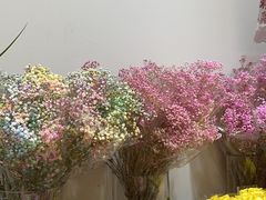 -双季花艺园艺市场(浦东店)