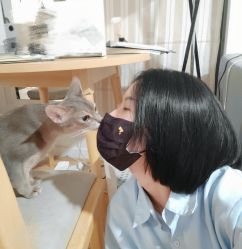 -蚂蚁造型俱乐部