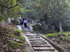 -莫干山风景区