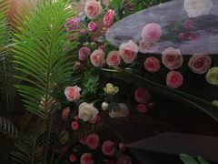 -皇冠明珠鱼翅楼(水上公园店)